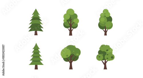 Six stylized cartoon trees, featuring pine and broadleaf types, presented as vector illustrations on a white background.