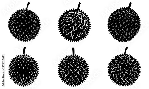 Illustration of six durian fruits with spiky exteriors in a black and white color scheme with different textures