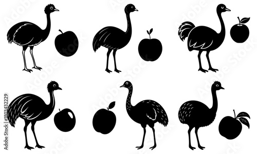 Silhouetted emus and apples in various poses and arrangements on a white background creating a pattern