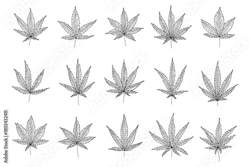 Set of hand drawn cannabis leaf Medicine marijuana Hemp leaves clipart in doodle style Single element for print, web, design, decor