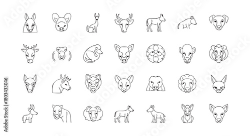 Animal Outline Icon Set Wildlife Mammals Livestock Line Art Collection