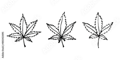 Set of hand drawn cannabis leaf Medicine marijuana Hemp leaves clipart in doodle style Single element for print, web, design, decor