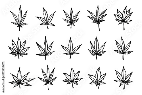 Set of hand drawn cannabis leaf Medicine marijuana Hemp leaves clipart in doodle style Single element for print, web, design, decor