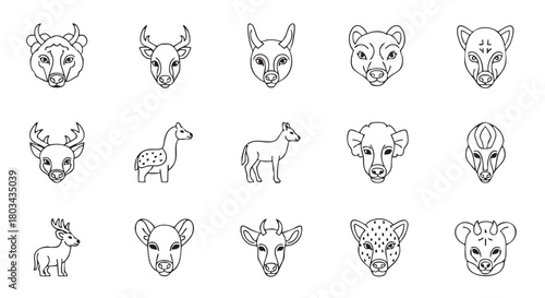 Collection of Cute Animal Line Art Illustrations on White Background