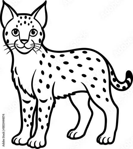 A stylized black and white illustration of a bobcat. The bobcat is depicted in a standing pose, facing the viewer with a friendly expression and open eyes. The bobcat features distinct tufted ears, a 