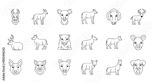 Variety of Animal Outlines on White Background with Stylized Illustrations