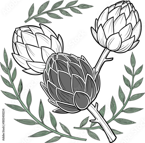 Three artichokes, the main subjects, are arranged in a stylized, artistic illustration on a white background. The central artichoke is positioned upright, flanked by two others, one on each side, slig