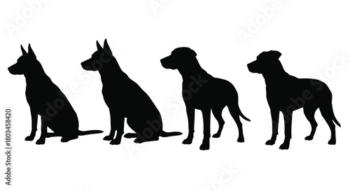 Four dog silhouettes, representing different breeds