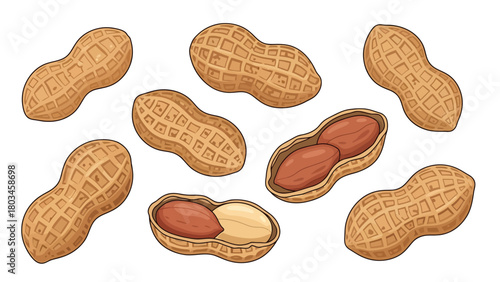 A collection of cartoonstyle peanuts in various states of opening