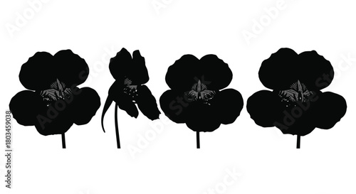 Four black pansy flowers in a row pattern