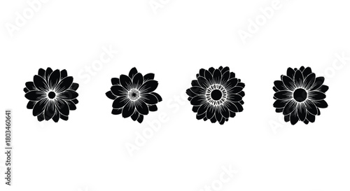 Floral silhouette showing different flower shapes