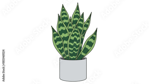 A drawing of a snake plant in a pot