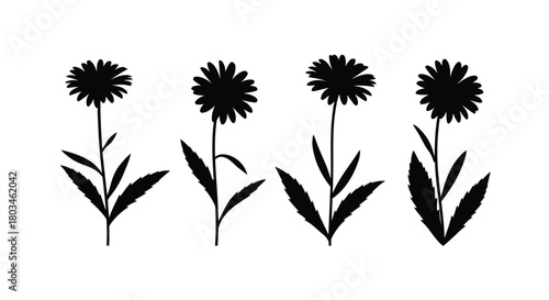 Four flowers for botanical and nature themes