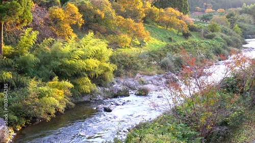 西日に照らされた綺麗な川の風景
