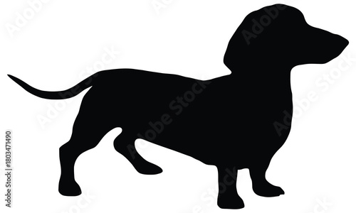 Black silhouette of a dachshund dog standing
