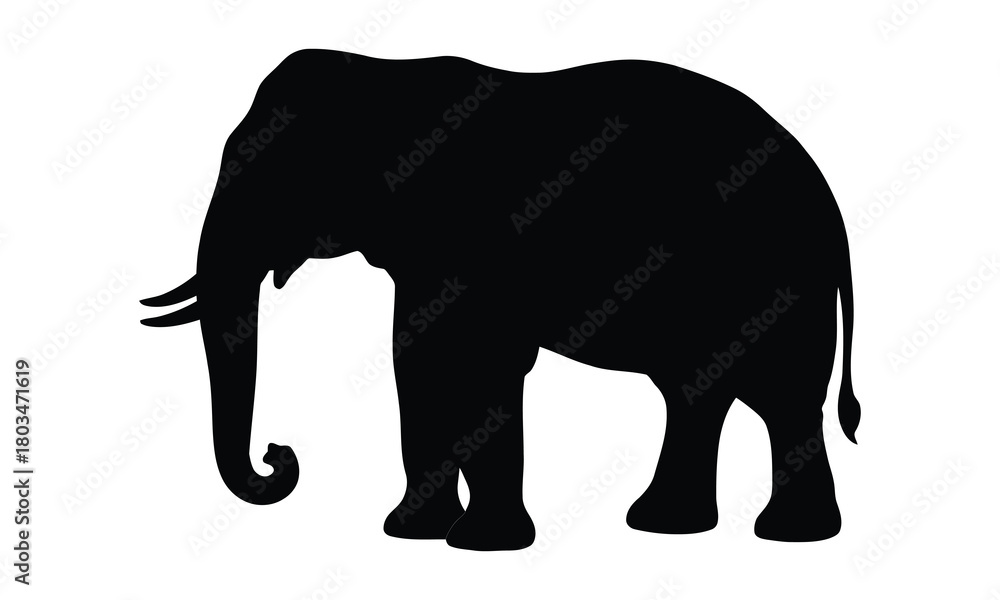 Fototapeta premium A realistic elephant silhouette illustration