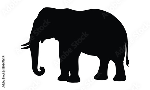 A realistic elephant silhouette illustration