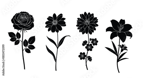 Collection of four flower silhouettes for design