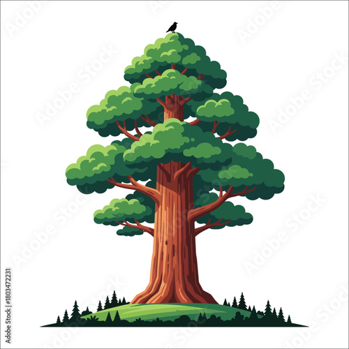 Large green tree with bird on top and grassy hill nature tall