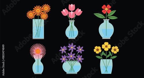 Colorful flowers in vases vector illustration floral arrangement