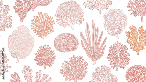 A seamless pattern of various handdrawn coral and seaweed forms in pale pink peach and muted orange
