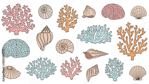 An assortment of various colorful corals and different types of seashells on a plain white background