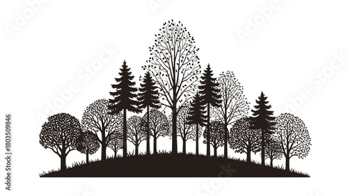 Silhouette of a diverse forest with deciduous and coniferous trees on a rolling hillside against a white background