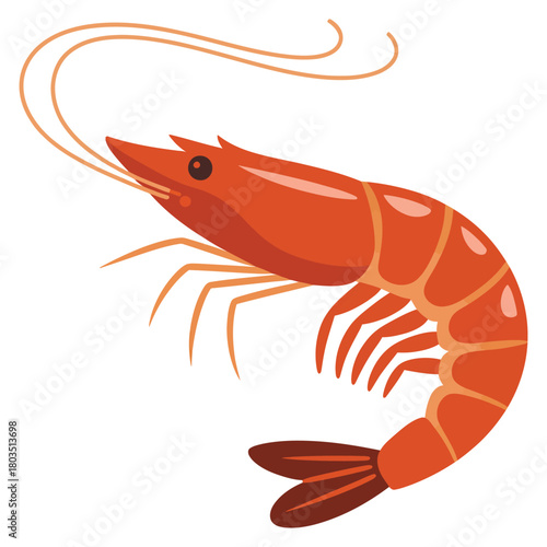 shrimp on white background