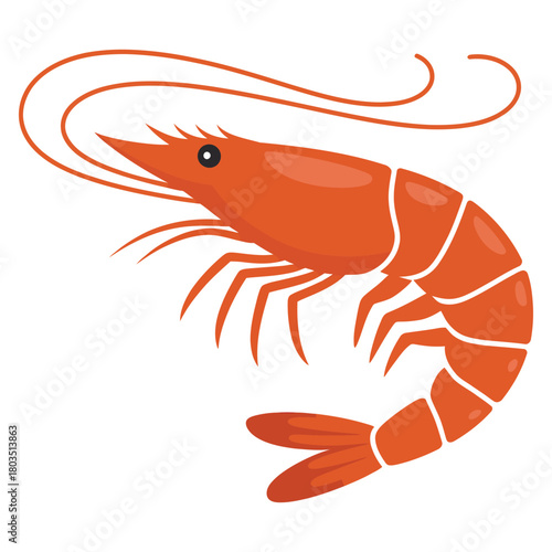 shrimp on white background