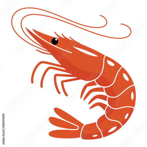 fresh shrimp on white background