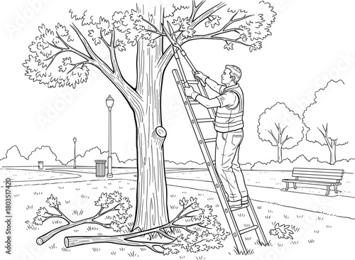 Tree pruning in public park, man on ladder cutting branches, outdoor maintenance, landscaping, safety, seasonal care, environment