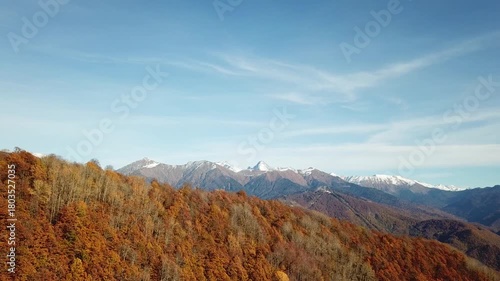 Aerial view of forest of the Caucasus mountains in autumn in Krasnaya Polyana, Russia.