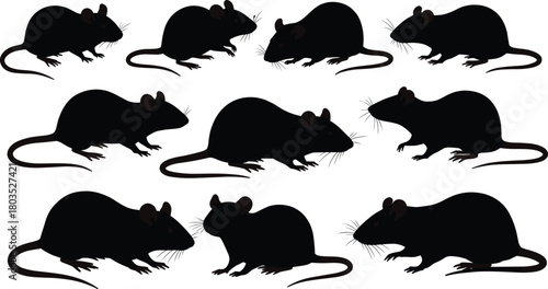 “Collection of detailed rat silhouette illustrations, showing various natural poses and body shapes, ideal for wildlife themes, animal graphics, pest control designs, and vector artwork.”