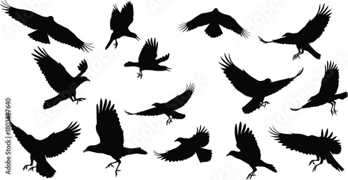 “Collection of dynamic flying bird silhouettes, featuring varied wing positions and expressive flight poses, perfect for 