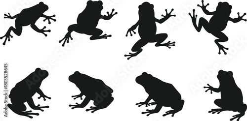 Collection of frog silhouettes in dynamic jumping, sitting, and climbing poses, detailed amphibian vector illustration for wildlife artwork, nature designs, creative graphic projects