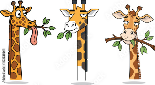 Funny cartoon giraffes eating leaves, cute animal characters chewing branches, playful wildlife illustration perfect for children’s books, education, and design projects