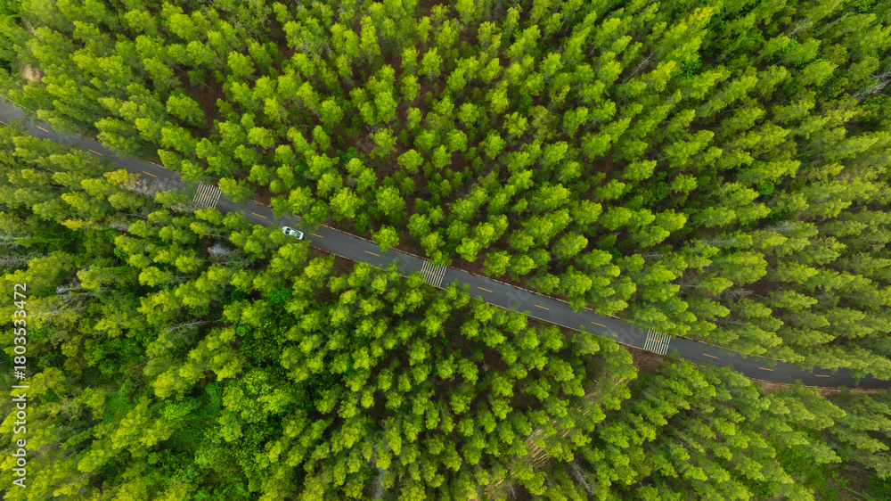 Obraz premium Aerial view of dark green forest road and white electric car Natural landscape and elevated roads Adventure travel and transportation and environmental protection concept