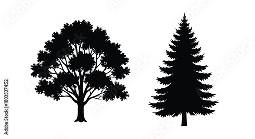 Silhouette illustration of two contrasting tree shapes deciduous and coniferous