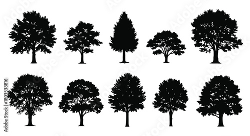 A collection of various black silhouette trees displayed in a row