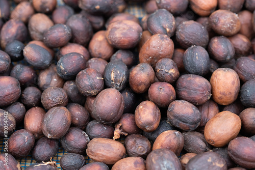 Close-up Green Coffee Beans Drying Texture