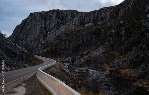 Swamp with small pine trees covered in early winter morning frost reflecting in pond. national park at sunrise with fog rising, scandinavia