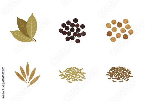 Six spice illustrations arranged in two rows of three against a white background