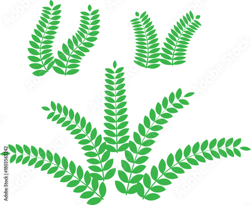 Custom leaf brush vector.