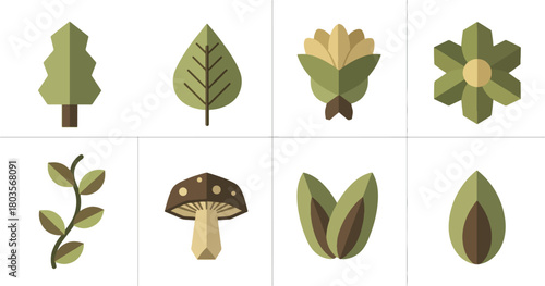 Geometric nature elements illustration vector design