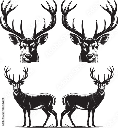 Stylized Deer Silhouettes with Antlers – Vector Set of Wildlife Icons 
