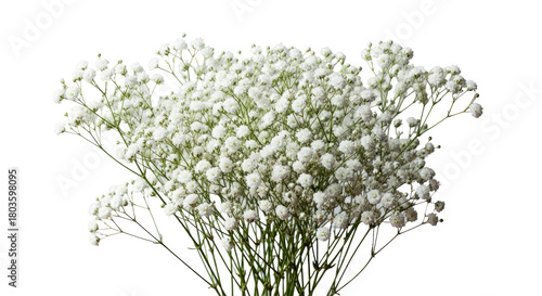 Vintage Delicate White Baby's Breath Bouquet Timeless Elegant Wedding Flowers