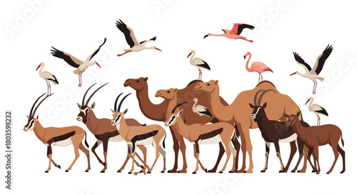 Diverse Wildlife A Group of Animals Including Camels, Gazelles, and Birds on White Background