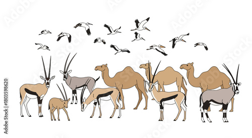 Vector illustration set of diverse desert fauna, including dromedary camels, gazelles, and oryx antelopes, isolated on a white background