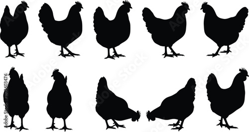 Set of Farm Hen and Chicken Silhouettes Vector Collection Isolated on White Background for Poultry, Food, and Farming Logo Design