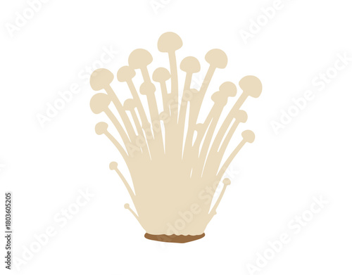 A flat design of enoki mushrooms. Great for Japanese cuisine, cooking, veggies, mushrooms, fall, nature, icons, stickers, digital media, and print materials. vector illustration